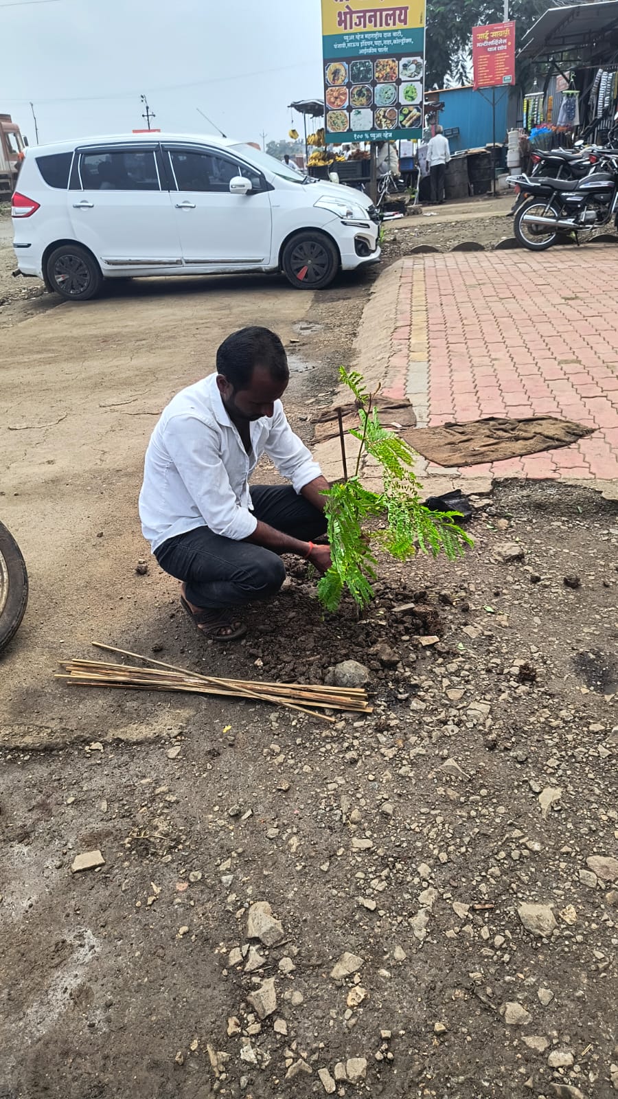 SS construction road side plantation
